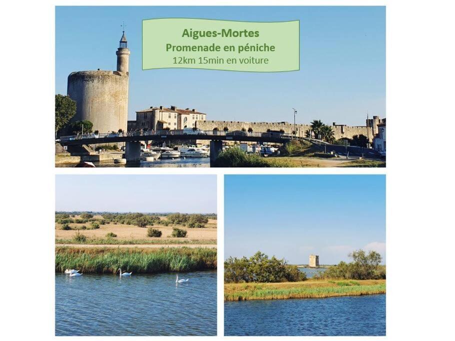 Suite Maya Parking Clim Wifi Centre-Ville Et Port - Rossiconciergerie - Linge Inclus La Grande-Motte Exterior photo